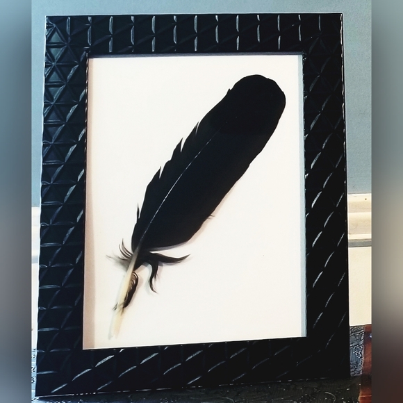Featherart 5×7 Framed Black Feather Dtand Alone or Hang/ Black Collection - Picture 2 of 5